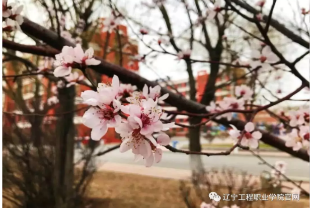 【共抗疫情 爱国力行】@铁岭卫生职业学院 接力棒收到！我们都是收信人，辽工职院青年