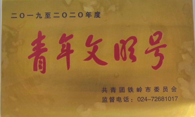 辽宁工程职业学院世界技能大赛教师团队开展“擦亮青年文明号，争做铁岭营商环境最美风